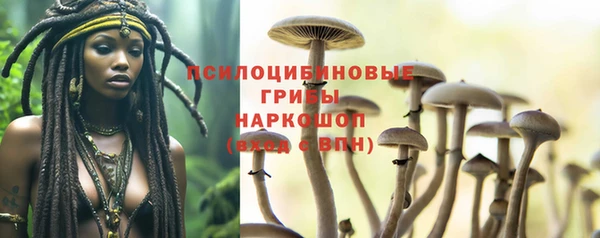 молекула духа Бронницы