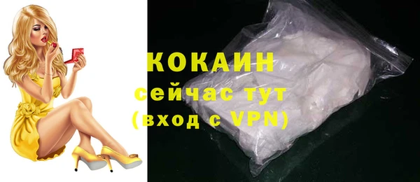 дмт Бородино