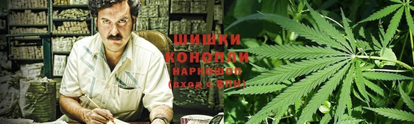 дмт Бородино