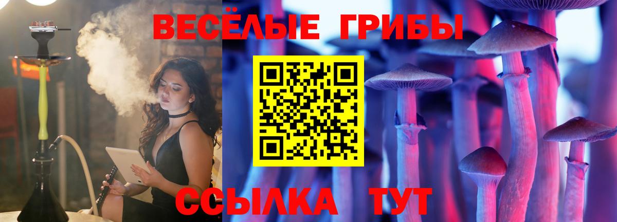 Воскресенск  Галлюциногенные грибы MAGIC MUSHROOMS  Вход с VPN 